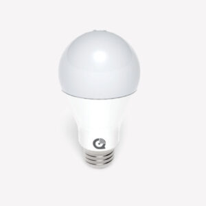 smart bulb